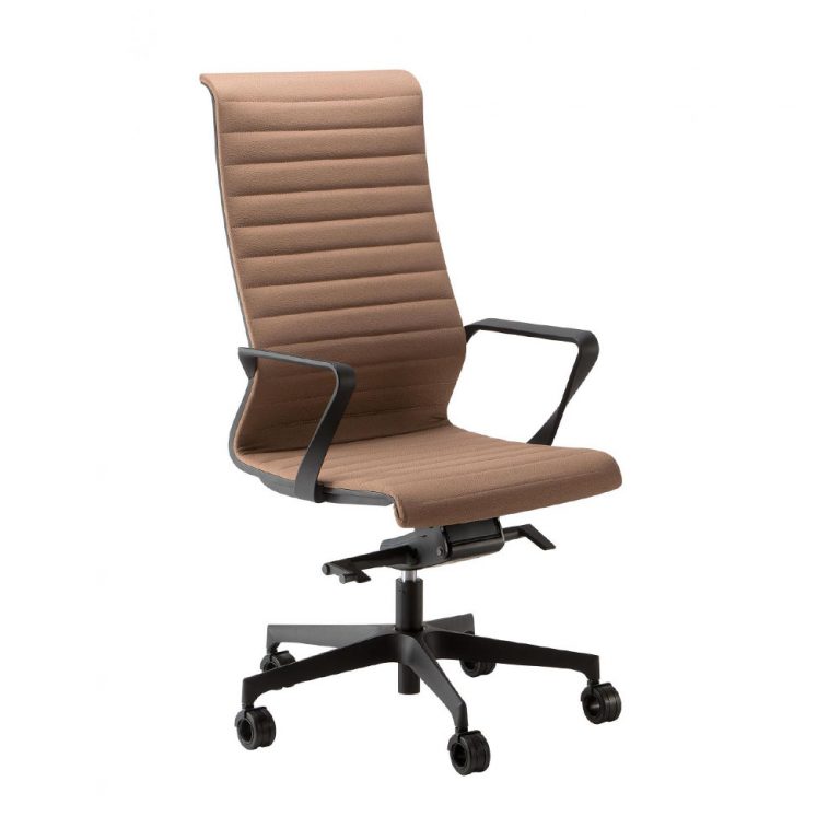 Dinamica soft